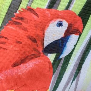 Meet your Posher, Drew